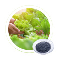 Factory suministra directamente algas extracto de algas foliar gro gro de agua fertilizante soluble dr aux npk 10-10-40 fertilizante compuesto 95%